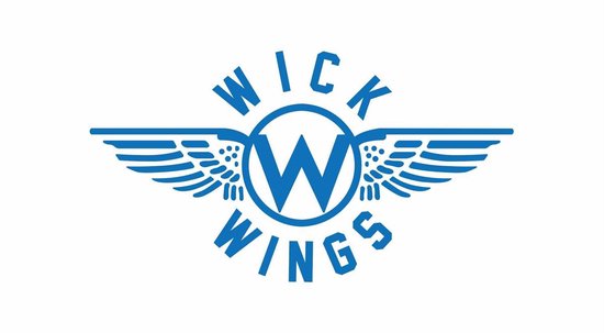 Wick Wings - Wick Air Vliegtuigbedje - Reiskussen - Voetensteun - Antislip