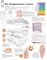 Integumentary System Paper Poster