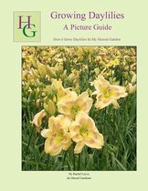 Growing Daylilies a Picture Guide