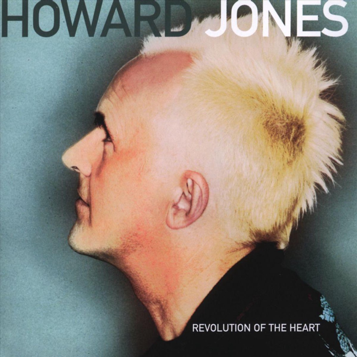 Revolution of the Heart