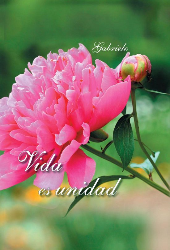Vida es unidad - cover