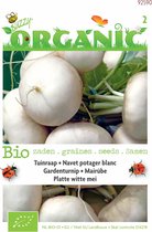 Buzzy Organic Rapen Platte Witte Mei (BIO)