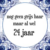 Verjaardag Tegeltje met Spreuk (24 jaar: Nog geen grijs haar, maar al wel 24 jaar + cadeau verpakking & plakhanger