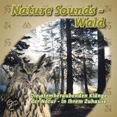Nature-Sounds-Wald