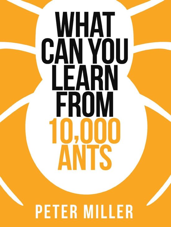 Collins Shorts 4 - What You Can Learn From 10,000 Ants - cover