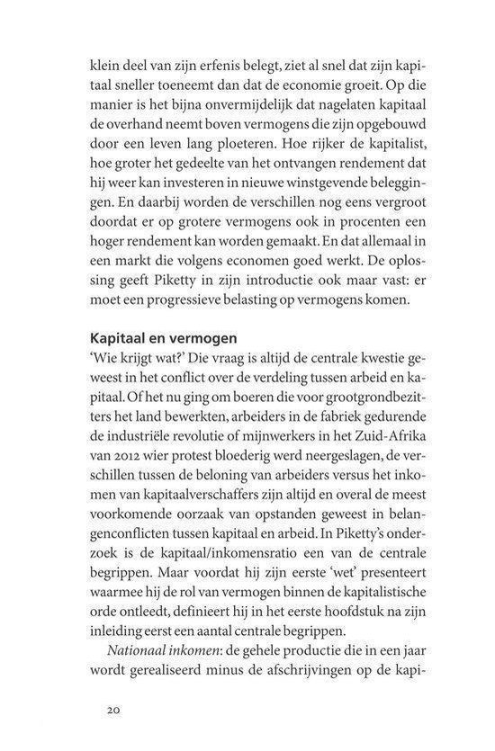 Kleine boekjes - grote inzichten - De kleine Piketty