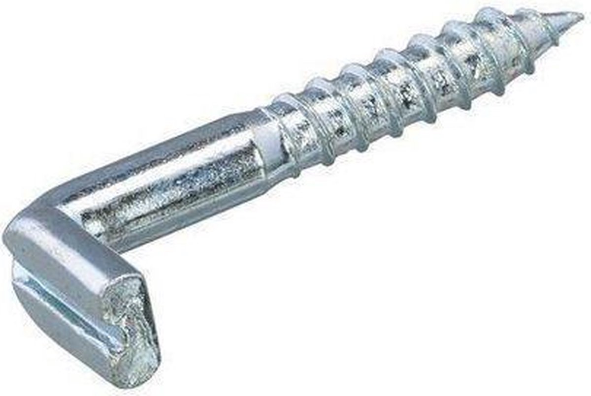 Homefix schroefduimen gleuf verzinkt 50mm 5x