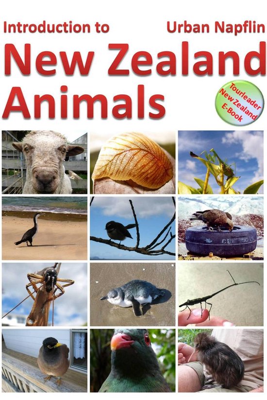 Introduction to New Zealand Animals - cover