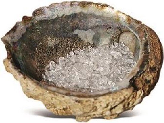 Abalone - Oplaadschelp - Incl 100 Gram Bergkristal - Yoga - Mediteren - Wierook - Edelsteen - Chakra - Edelsteen