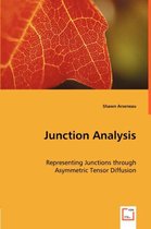 Junction Analysis