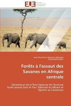 Forêts à l'assaut des Savanes en Afrique centrale