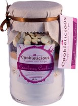 Wonderbaarlijk bol.com | Pot koekjesmix, bakmix van Cookielicious - Cranberry DW-26