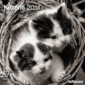 2011 Kittens Grid Calendar