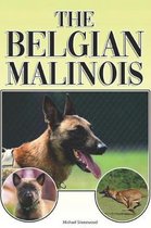 The Belgian Malinois