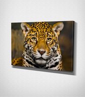 Jaguar Canvas | 80x120 cm