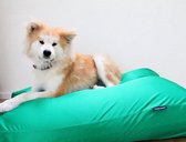 Dog's Companion Hondenkussen waterafstotend en vuilafstotend - M - 90 x 70 cm - Lentegroen coating