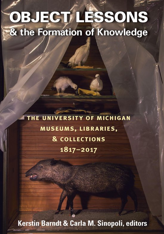 Object Lessons and the Formation of Knowledge - cover