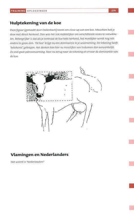 Creativiteit Hoe? Zo!