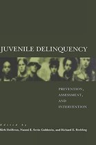 Omslag Juvenile Delinquency