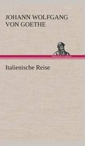 Boek met de titel 'Italienische Reise' van Johann Wolfgang von Goethe, met een illustratie van een man met hoed en baard.