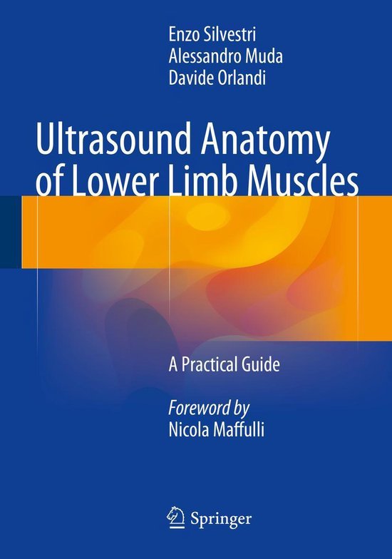 Medicine (R0) - Ultrasound Anatomy of Lower Limb Muscles - cover