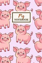 PIG Notebook