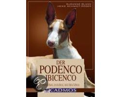 Der Podenco Ibicenco