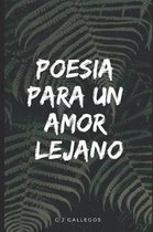 Poesia Para Un Amor Lejano