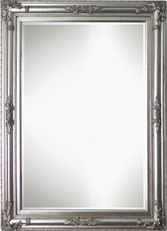 Vertrouwelijk rijk Gespierd Qweens - Spiegel - Debora- zilver - buitenmaten breed 80 cm x hoog 110 cm.  | bol.com