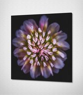 Multicolored Flower Canvas - 40 x 40 cm - Bloemen - Schilderij - Canvas - Slaapkamer - Wanddecoratie  - Slaapkamer - Foto op canvas