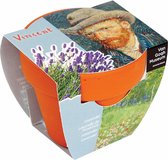 Potje Lavendel - Vincent van Gogh - groeicadeautje per drie stuks