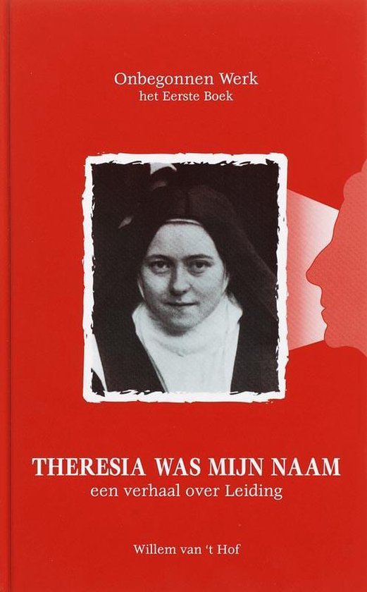 Cover van het boek 'Onbegonnen werk / Theresia was mijn naam' van Willem van 't Hof