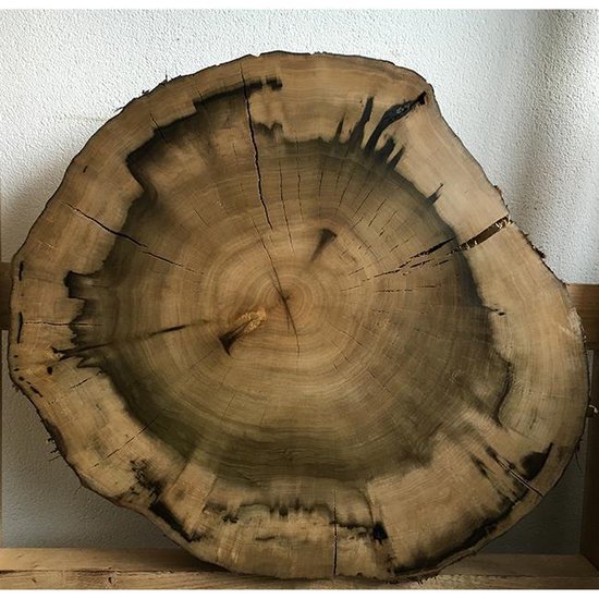 Oude tijden Verknald verrassing Zaagfabriek – sidetable boomstam schijf salontafel hout – 62-70 x 14 cm |  bol.com