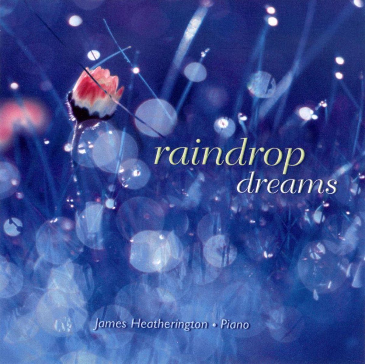 Raindrop Dreams