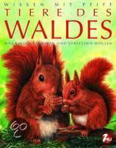 Wissen mit Pfiff. Tiere des Waldes