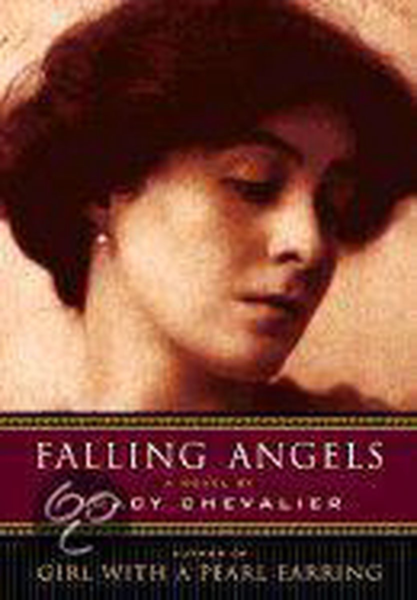 Omslag van Falling Angels