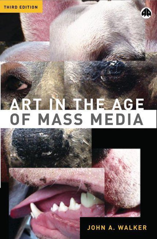 Art in the Age of Mass Media - cover