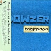 Facing Paper Tigers