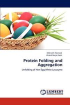 Protein Folding and Aggregation