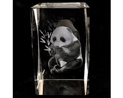 kristal glas laserblok met 3D afbeelding van Panda 5x8cm