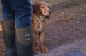 Een persoon draagt groene Muck Boot Muckmaster laarzen met een hond ernaast.