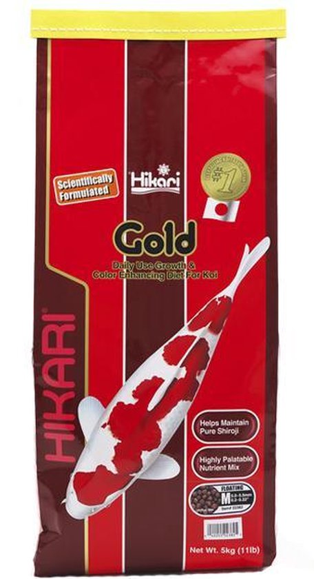 hikari koi gold