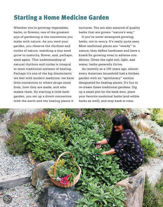 Beginners Guide To Medicinal Herbs