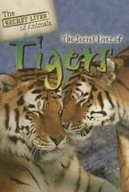 The Secret Lives of Tigers