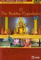 Buddah Experience