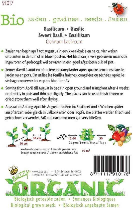Buzzy® Organic Basilicum Genovese (BIO) - Buzzy Seeds