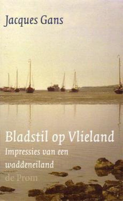 Cover van het boek 'Bladstil op vlieland'
