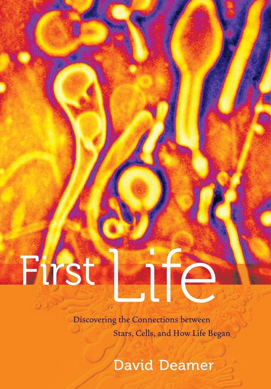 First Life - cover