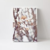 Canvasdoek - Schilderij - Blaadje Sneeuw Natuur Stichting By Amanda - Wit En Bruin - 150 X 100 Cm