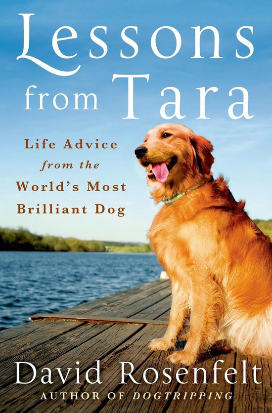 Lessons from Tara - cover
